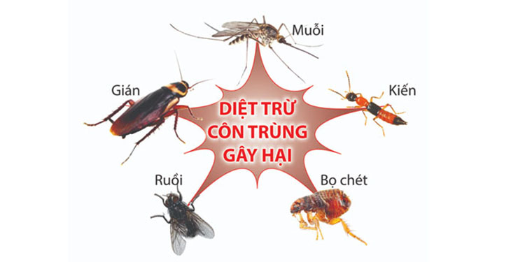 Công ty TNHH diệt côn trùng Tam Hiệp