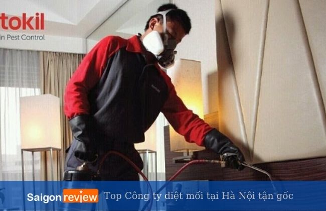 Rentokil - Công ty diệt mối tại Hà Nội