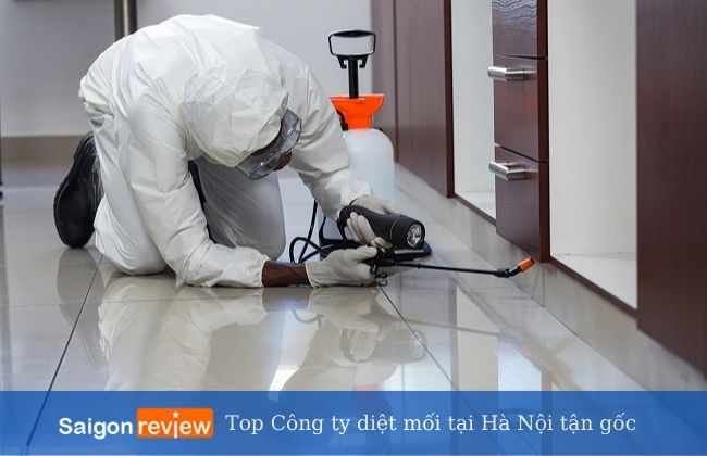 Nhà sạch Hà Nội - Công ty diệt mối tại Hà Nội