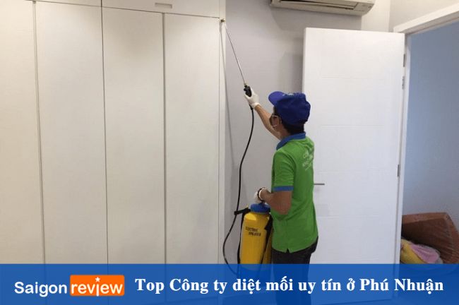 Công ty diệt mối Phú Nhuận trọn gói