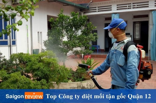 Dịch vụ trừ mối mọt hiệu quả ở Quận 12