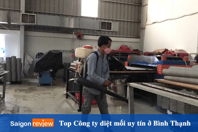 Đơn vị diệt mối tận gốc, giá rẻ ở Bình Thạnh