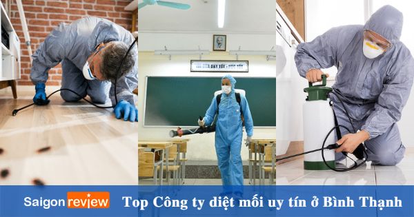 Top 12 công ty diệt mối Bình Thạnh uy tín, chuyên nghiệp Top 12 công ty diệt mối Bình Thạnh uy tín, chuyên nghiệp