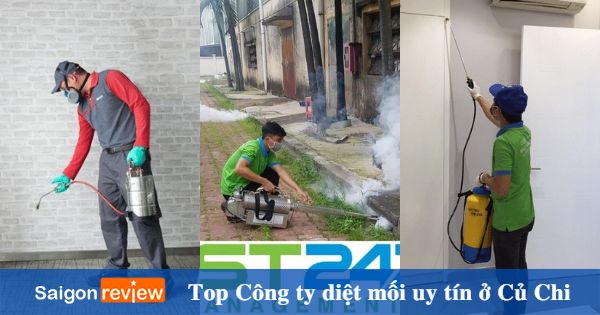 Top 10 công ty diệt mối Củ Chi uy tín, chuyên nghiệp Top 10 công ty diệt mối Củ Chi uy tín, chuyên nghiệp