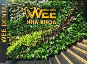 Nha Khoa Wee Dental